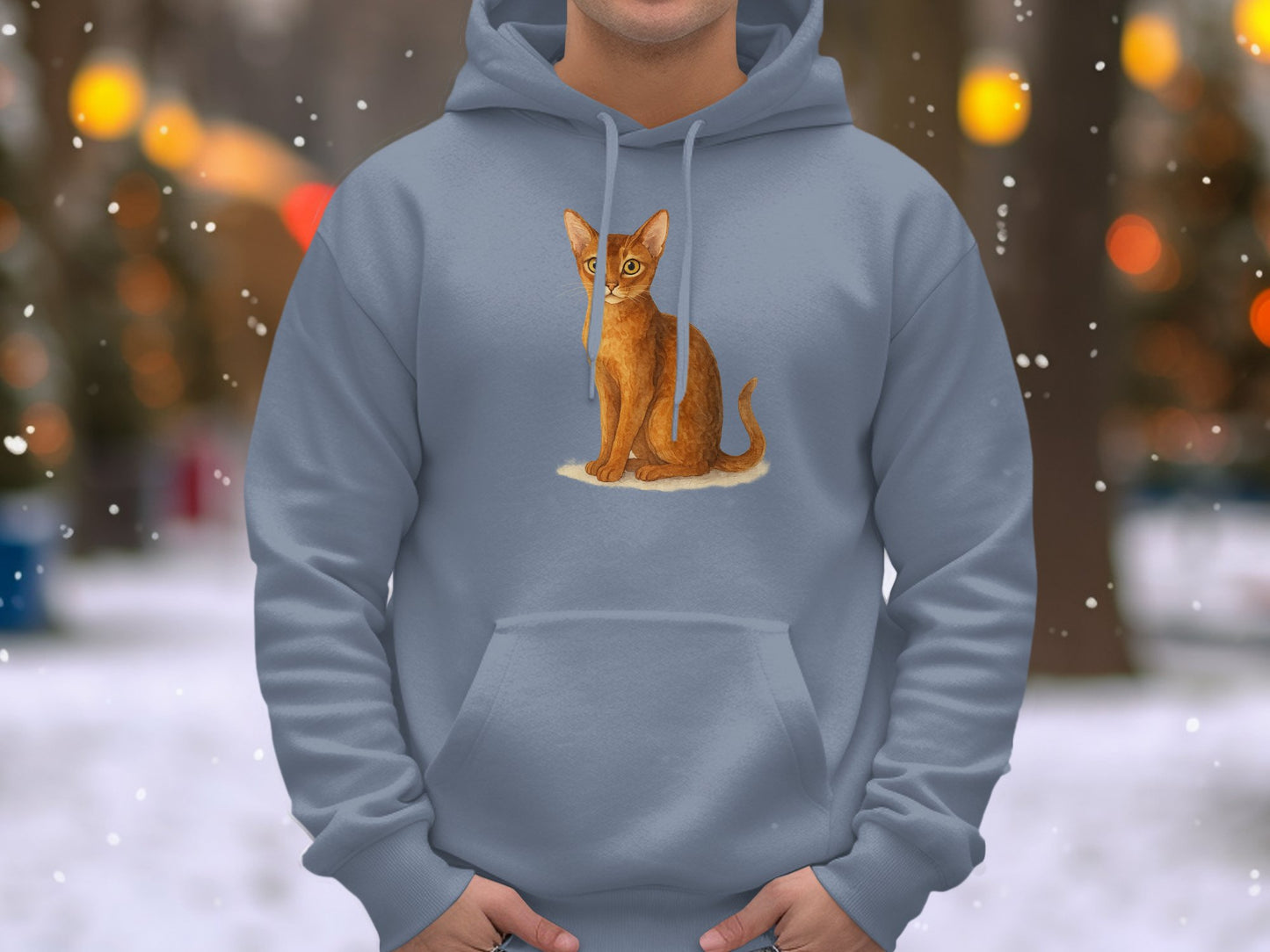 Red Cat in Snow Design on Slate Hoodie product