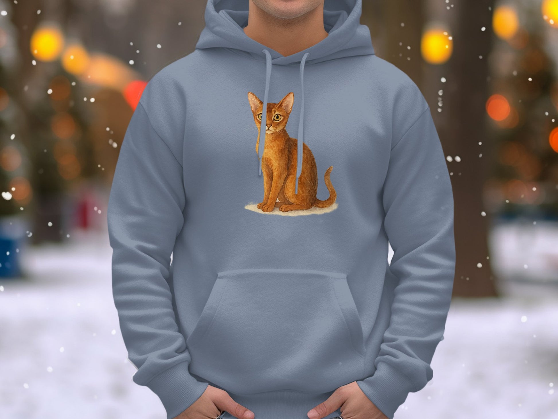 Red Cat in Snow Design on Slate Hoodie product