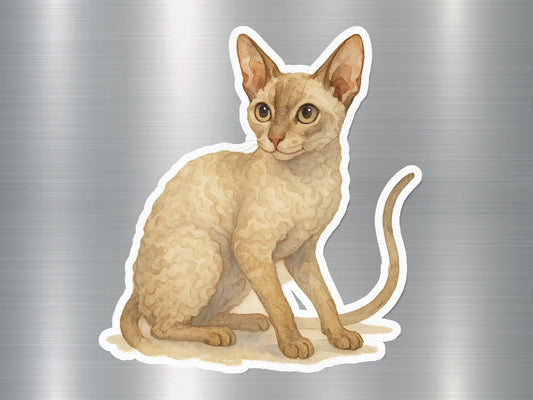 Cute Illustrated Cat Sticker with Rounded Edges product type