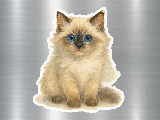 Adorable Illustration of Fluffy Kitten Sticker product