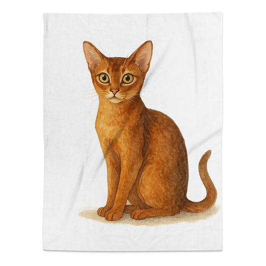 Adorable Brown Cat Illustration on Blanket product
