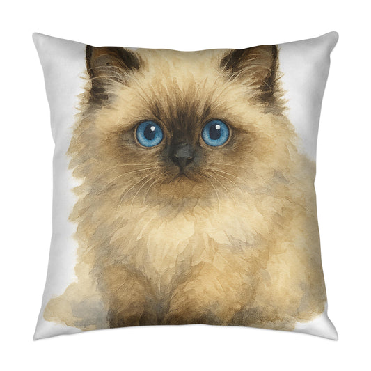 Adorable Fluffy Blue-Eyed Kitten Print Pillow product